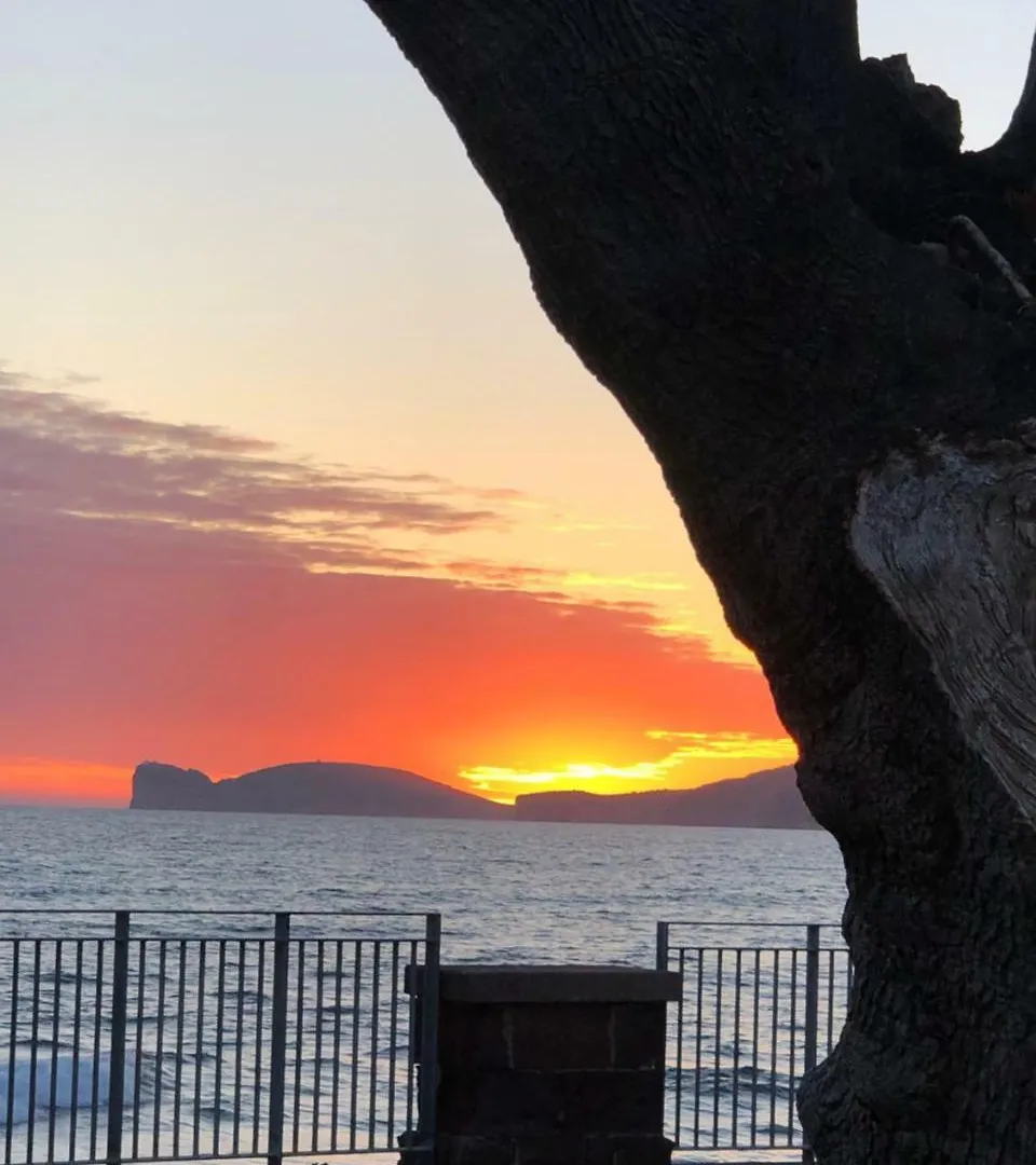 Aigua Guest House Alghero